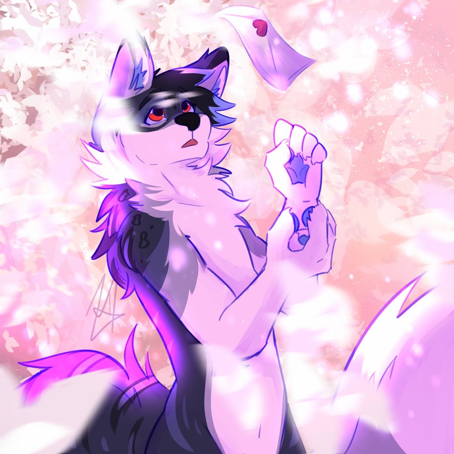 Catching a love letter under pink cherry blossoms